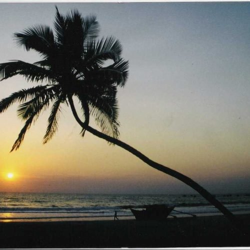 “The Best Time to Visit Goa: Seasonal Insights”